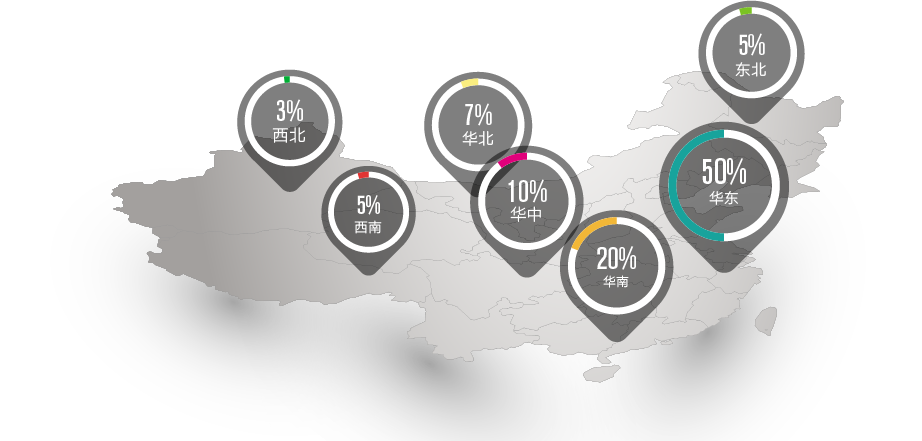 DOMESTIC MARKET DISTRIBUTION